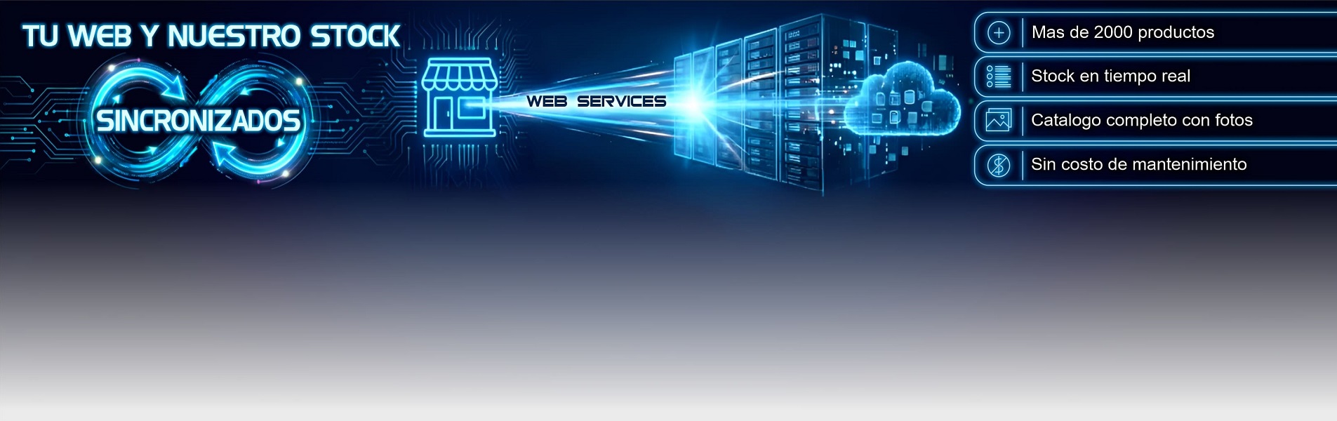 Web Service